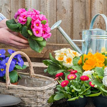 Summer Floral Display Photo 2.jpg